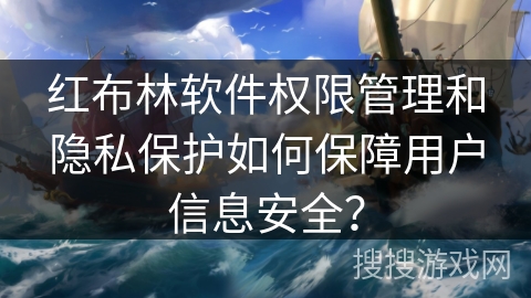 红布林软件权限管理和隐私保护如何保障用户信息安全？