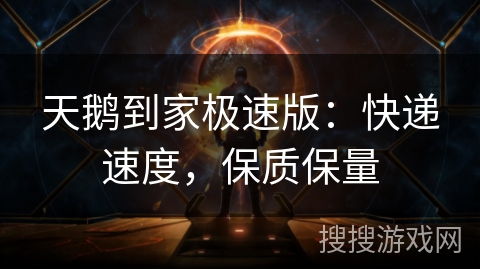 天鹅到家极速版：快递速度，保质保量