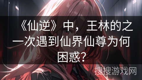 《仙逆》中，王林的之一次遇到仙界仙尊为何困惑？