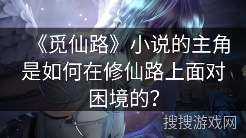 《觅仙路》小说的主角是如何在修仙路上面对困境的？