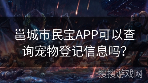 邕城市民宝APP可以查询宠物登记信息吗？