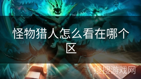 怪物猎人怎么看在哪个区