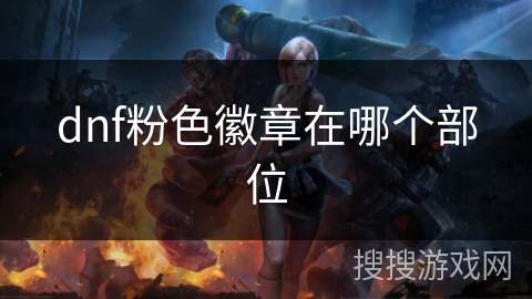 dnf粉色徽章在哪个部位