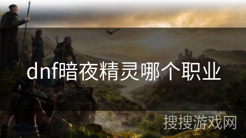 dnf暗夜精灵哪个职业