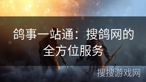 鸽事一站通：搜鸽网的全方位服务