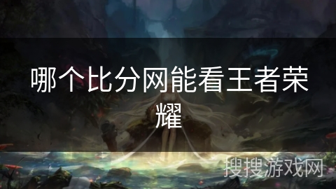 哪个比分网能看王者荣耀