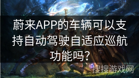蔚来APP的车辆可以支持自动驾驶自适应巡航功能吗？