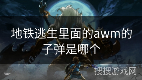 地铁逃生里面的awm的子弹是哪个