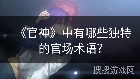 《官神》中有哪些独特的官场术语？