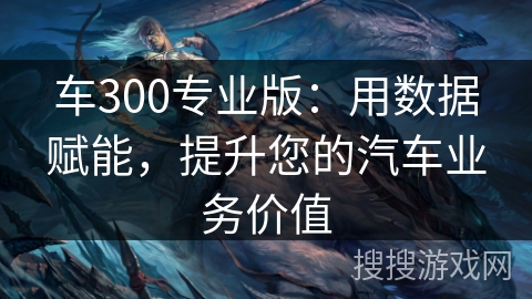 车300专业版:用数据赋能,提升您的汽车业务价值 车300专业版:用数据赋能,提升您的汽车业务价值