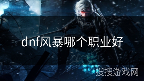dnf风暴哪个职业好