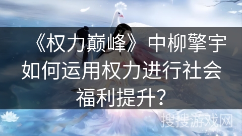 《权力巅峰》中柳擎宇如何运用权力进行社会福利提升？