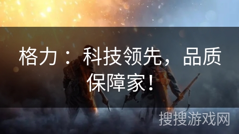 格力 ：科技领先，品质保障家！