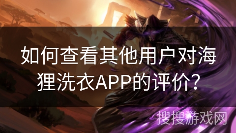 如何查看其他用户对海狸洗衣APP的评价？