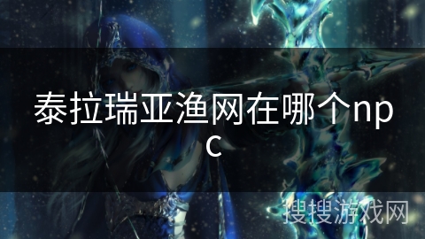 泰拉瑞亚渔网在哪个npc