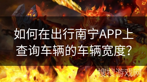 如何在出行南宁APP上查询车辆的车辆宽度？