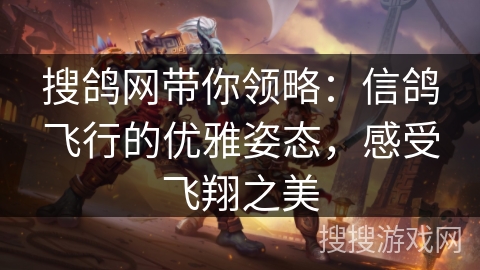 搜鸽网带你领略：信鸽飞行的优雅姿态，感受飞翔之美