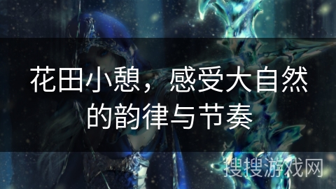 花田小憩，感受大自然的韵律与节奏