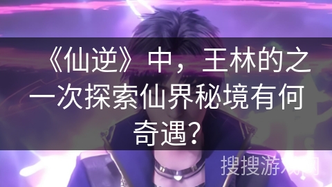 《仙逆》中，王林的之一次探索仙界秘境有何奇遇？