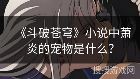 《斗破苍穹》小说中萧炎的宠物是什么？