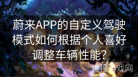 蔚来APP的自定义驾驶模式如何根据个人喜好调整车辆性能？