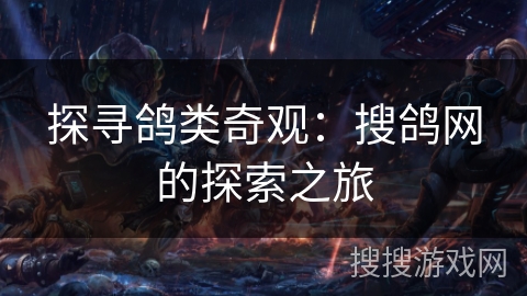 探寻鸽类奇观：搜鸽网的探索之旅