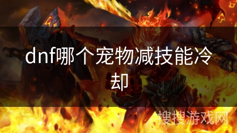 dnf哪个宠物减技能冷却
