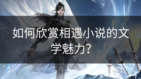 如何欣赏相遇小说的文学魅力？