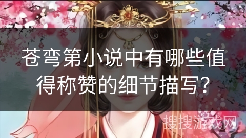 苍弯第小说中有哪些值得称赞的细节描写？