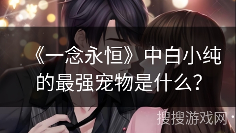 《一念永恒》中白小纯的最强宠物是什么？