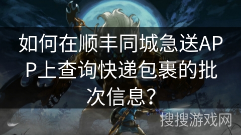 如何在顺丰同城急送APP上查询快递包裹的批次信息？