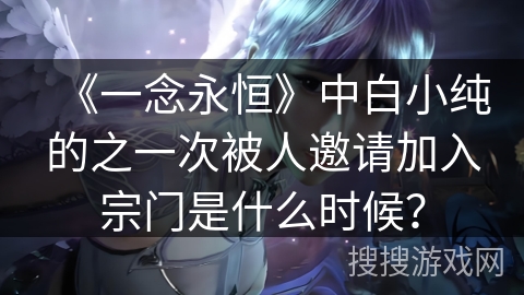 《一念永恒》中白小纯的之一次被人邀请加入宗门是什么时候？