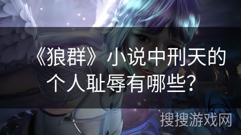 《狼群》小说中刑天的个人耻辱有哪些？