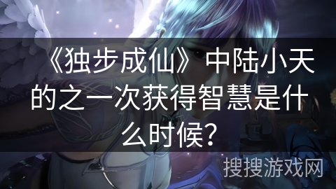 《独步成仙》中陆小天的之一次获得智慧是什么时候？