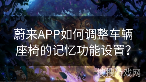 蔚来APP如何调整车辆座椅的记忆功能设置？