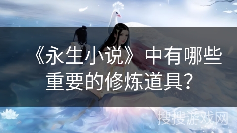 《永生小说》中有哪些重要的修炼道具？