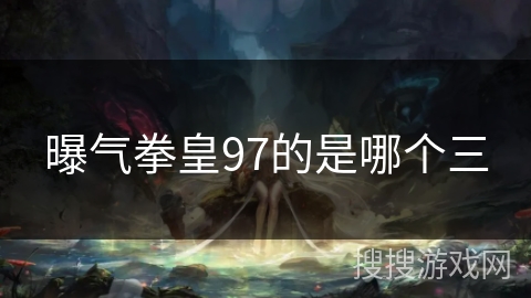 曝气拳皇97的是哪个三