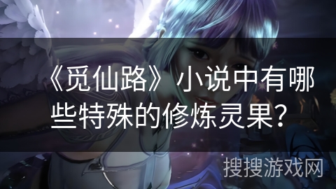 《觅仙路》小说中有哪些特殊的修炼灵果？