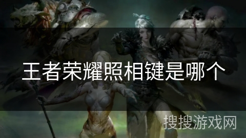 王者荣耀照相键是哪个