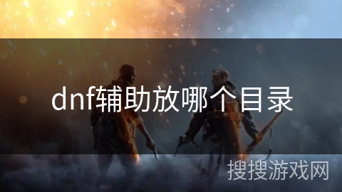 dnf辅助放哪个目录