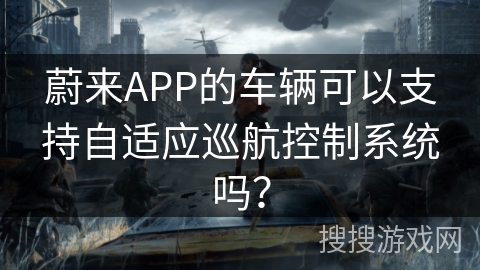 蔚来APP的车辆可以支持自适应巡航控制系统吗？