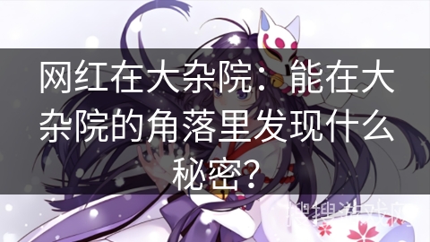 网红在大杂院：能在大杂院的角落里发现什么秘密？