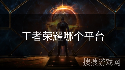 王者荣耀哪个平台