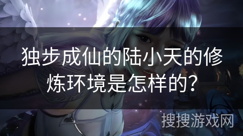 独步成仙的陆小天的修炼环境是怎样的？
