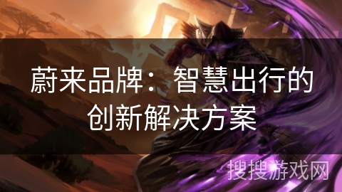 蔚来品牌：智慧出行的创新解决方案