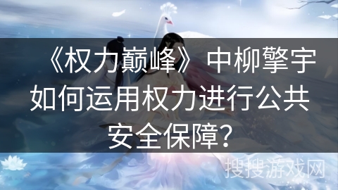 《权力巅峰》中柳擎宇如何运用权力进行公共安全保障？