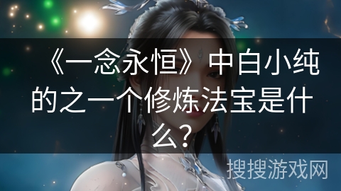 《一念永恒》中白小纯的之一个修炼法宝是什么？