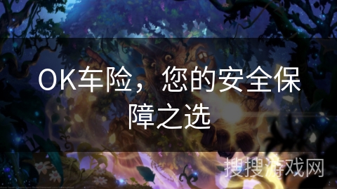 OK车险，您的安全保障之选