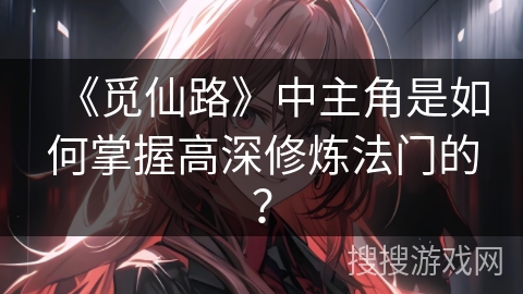 《觅仙路》中主角是如何掌握高深修炼法门的？