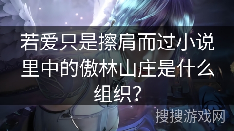 若爱只是擦肩而过小说里中的傲林山庄是什么组织? 若爱只是擦肩而过小说里中的傲林山庄是什么组织?
